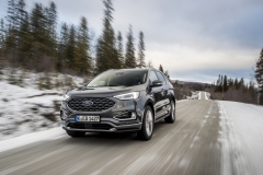 2018_FORD_EDGE_VIGNALE_MAGNETIC__2