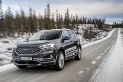 2018_FORD_EDGE_VIGNALE_MAGNETIC__3