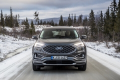 2018_FORD_EDGE_VIGNALE_MAGNETIC__5