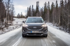 2018_FORD_EDGE_VIGNALE_MAGNETIC__6