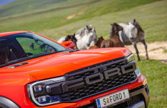 Auf den Spuren der wilden Pferde von Bosnien
